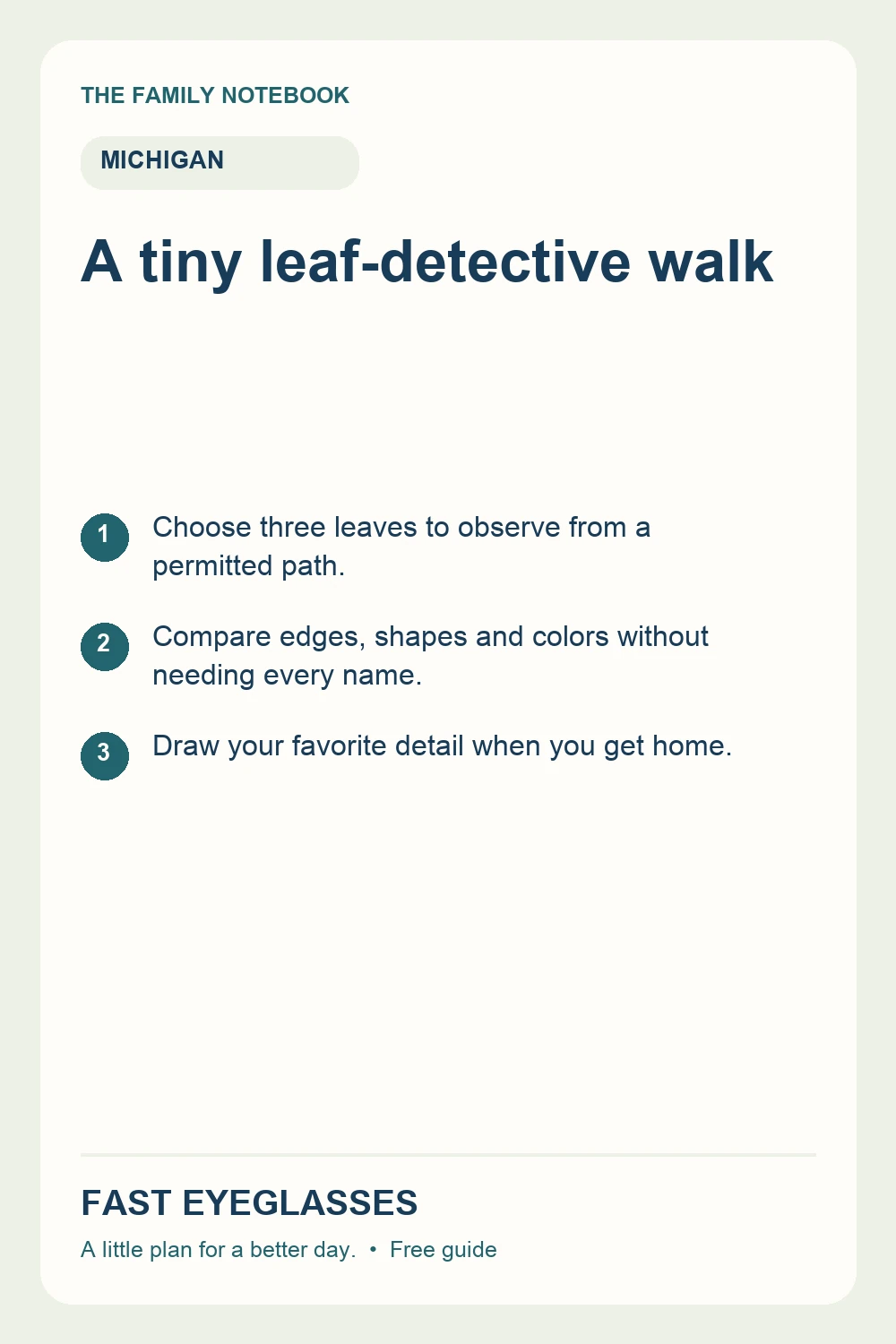 A tiny leaf-detective walk: Choose three leaves to observe from a permitted path.; Compare edges, shapes and colors without needing every name.; Draw your favorite detail when you get home.